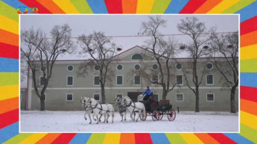 V pololetí koně letí!