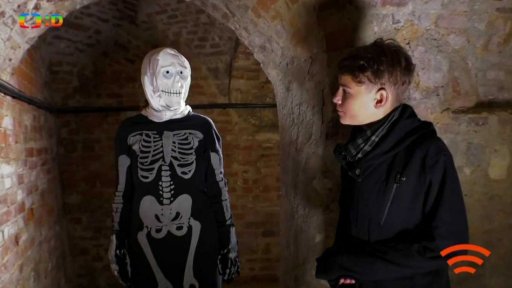 Společnost: Halloween