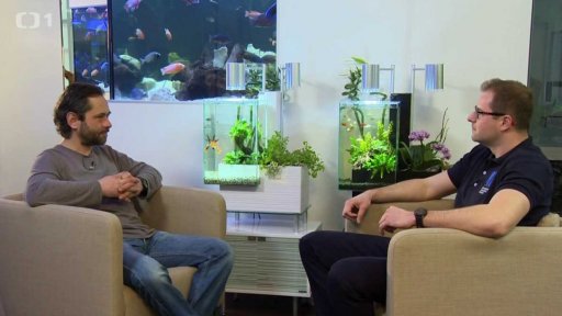 Nové trendy v akvaristice