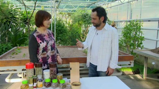 Síla léčivých rostlin