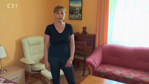 Parní čištění podlah