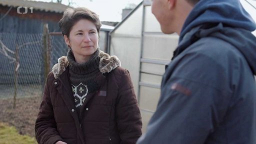 Jak pečovat o králíka