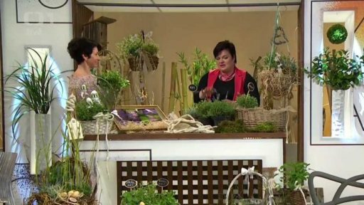 Jarní zahrada - 1. část + anketa