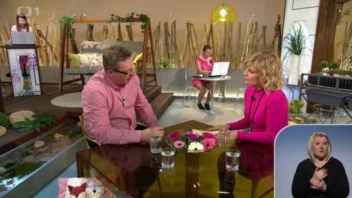 Prenatální screening k záchytu vad