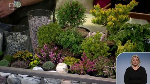 Jarní zahrada - 1. část