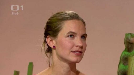 Třetí rodič - mapujeme problematiku nevlastního rodiče