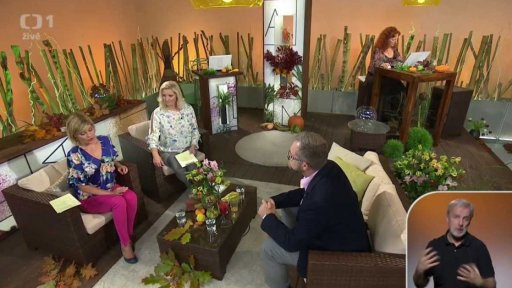 Proč cévní mozkové příhody postihují stále mladší ročníky - 1. část