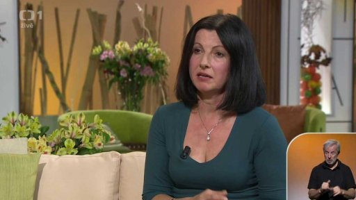 Role úspěšné rehabilitace po cévní mozkové příhodě - 1. část