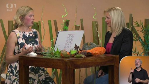 Ergoterapie při cévních mozkových příhodách