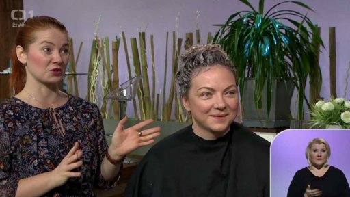 Proměna divačky Kateřiny - 1. část