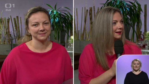 Proměna divačky Kateřiny - 2. část