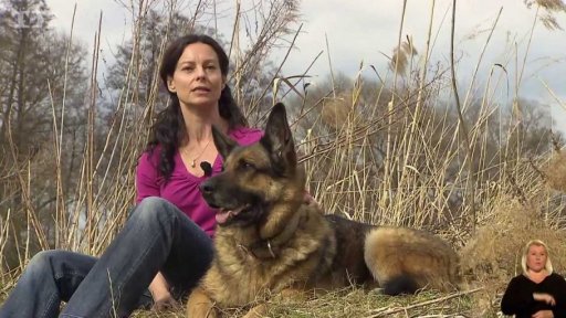 I zvíře bolí tělo - kdy k odborníkovi