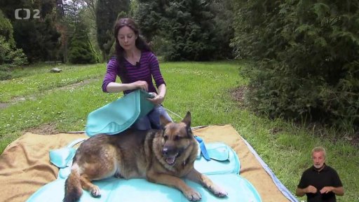 Jak pomoci svému psovi - fyzioterapie