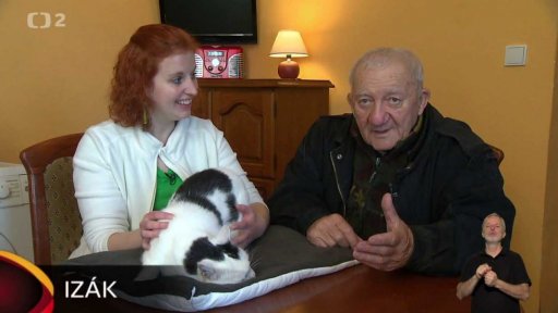 Nabídka koček z Hospozína