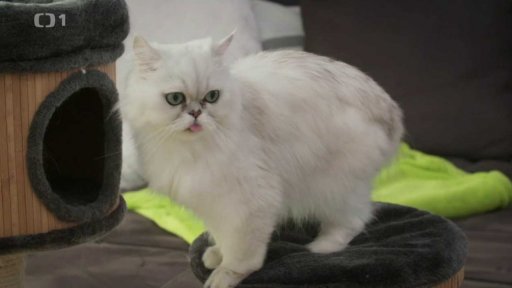 Problematická Sisi: v čem je problém?