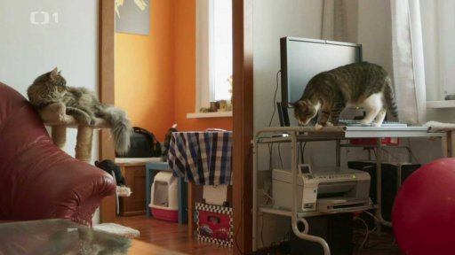 Rozhádané Leontýna a Kleopatra: v čem je problém?