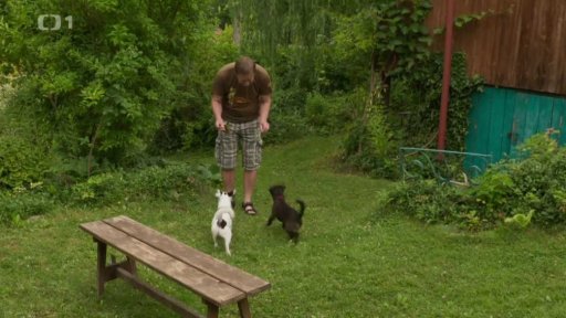 Temperamentní Kody a Elba: v čem je problém?