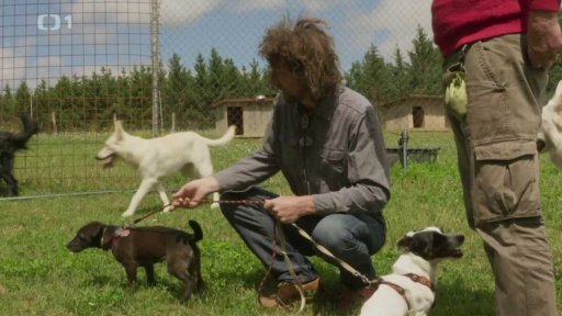 Temperamentní Kody a Elba: seznámení s koučem