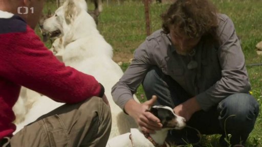 Temperamentní Kody a Elba: triky a rady