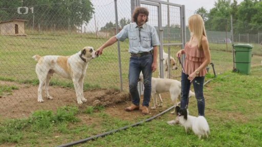 Nezkrotný Nathaniel: seznámení s koučem