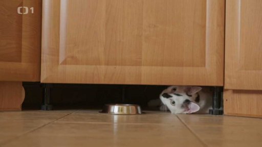 Plachý Zohan: triky a rady