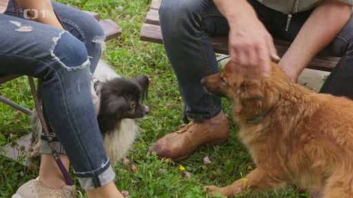 Nezkrotný Nathaniel: triky a rady