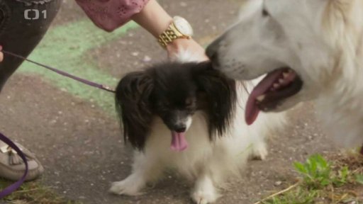 Nezkrotný Nathaniel: po měsíci