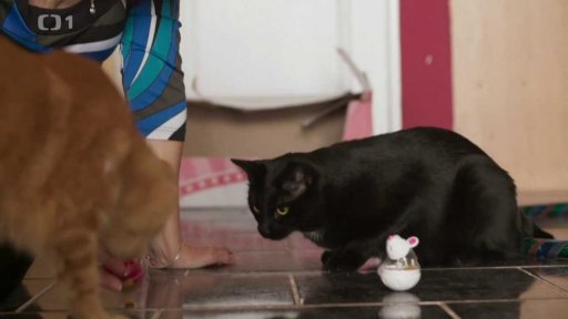 Agresivní Flíček s Gigim: po měsíci