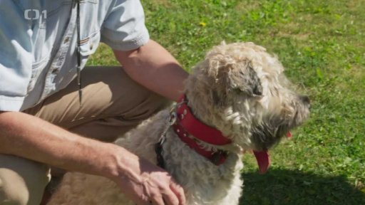 Náruživý Jonash: po měsíci