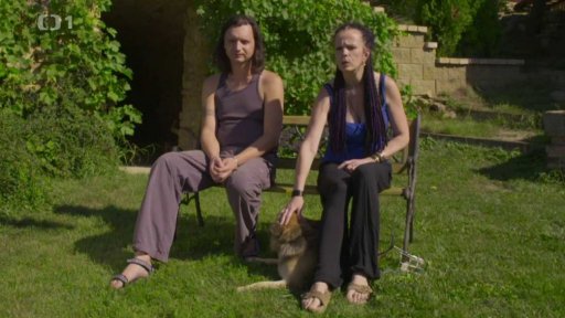 Neposlušná smečka kříženců: v čem je problém?