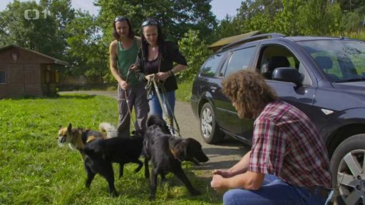 Neposlušná smečka kříženců: seznámení s koučem