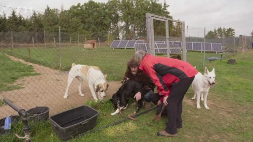Vystresovaný Sam: seznámení s koučem