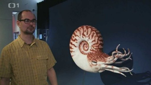 Nelítostný pravěk