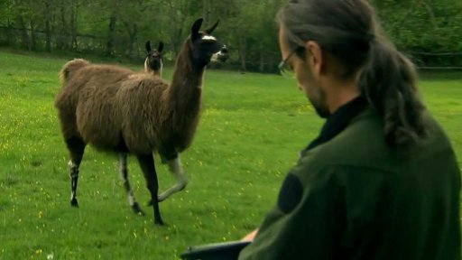 Bošice: rodinná tkalcovna