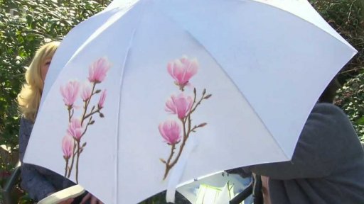 Malování na deštníky