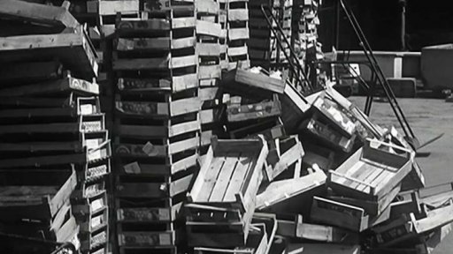 Výstavní a všední praxe v prodeji zeleniny