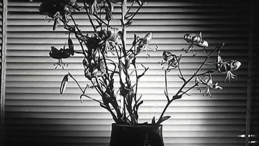 Výstava květin a volba miss Flora 67