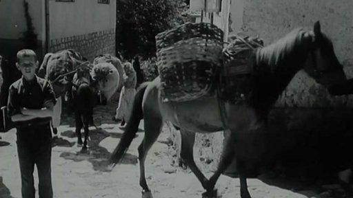 Malebné historické město na řece Plivě v Jugoslávii