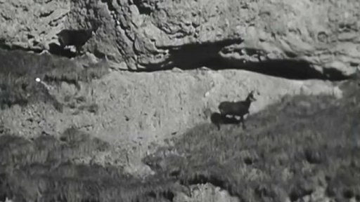 Na kamzíky se sítěmi