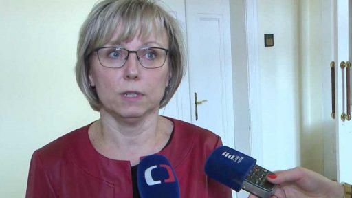 Trest za nepravdivý soudní posudek