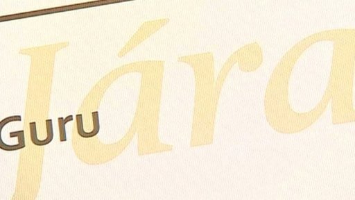 Trest pro "guru Járu"