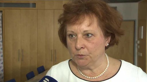 Cizinců v ČR přibývá