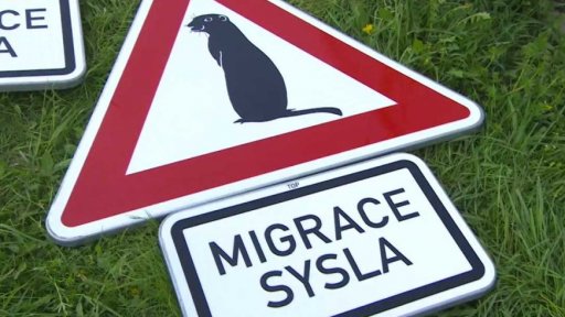 Nová značka upozorňující na sysly