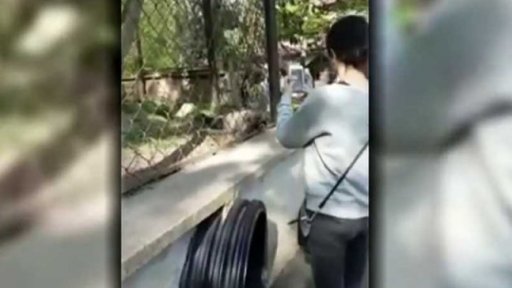 Bezohlednost v chomutovském zooparku