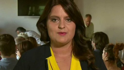 Referendum ČSSD o vstupu do vlády