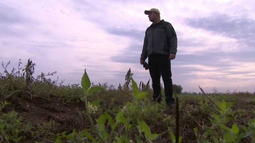 Odškodnění zemědelcům za sucho