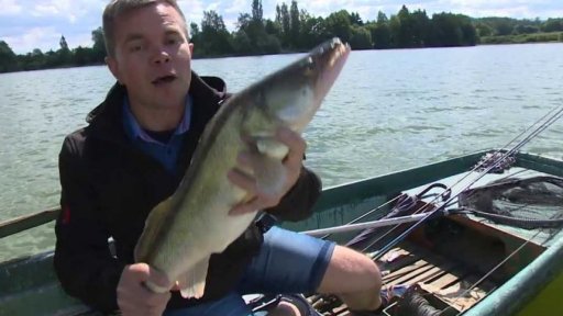 Sezona dravců na českých řekách