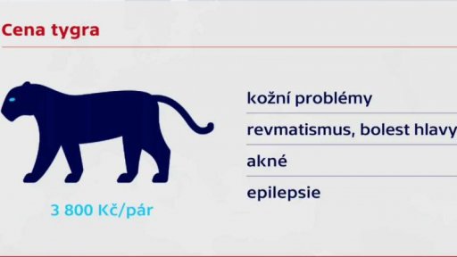 Využití tygra na černém trhu