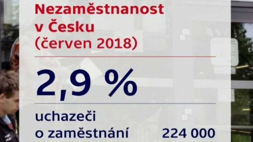 Průměrné mzdy podle oborů