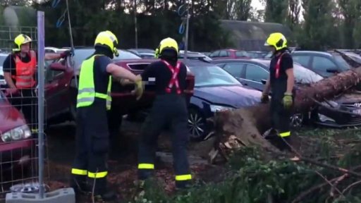 Pád stromu na parkoviště